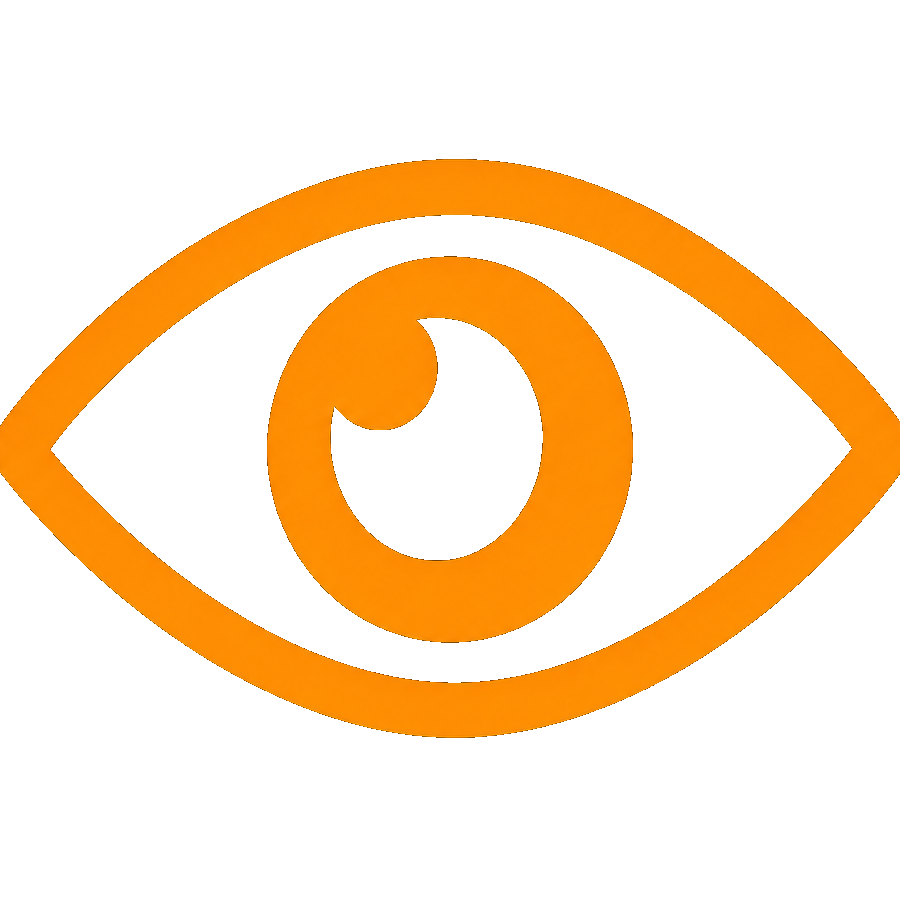 Our Vision Icon